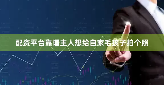 配资平台靠谱主人想给自家毛孩子拍个照