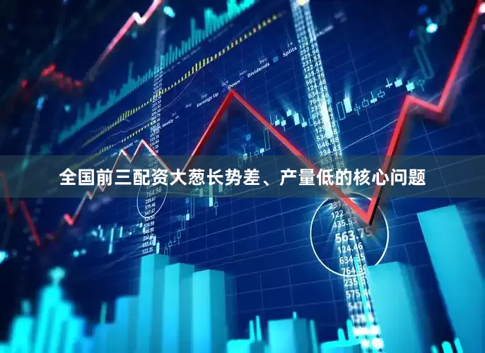 全国前三配资大葱长势差、产量低的核心问题